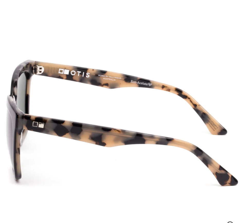 PURSUIT - Eco Havana Liquorice/Grey