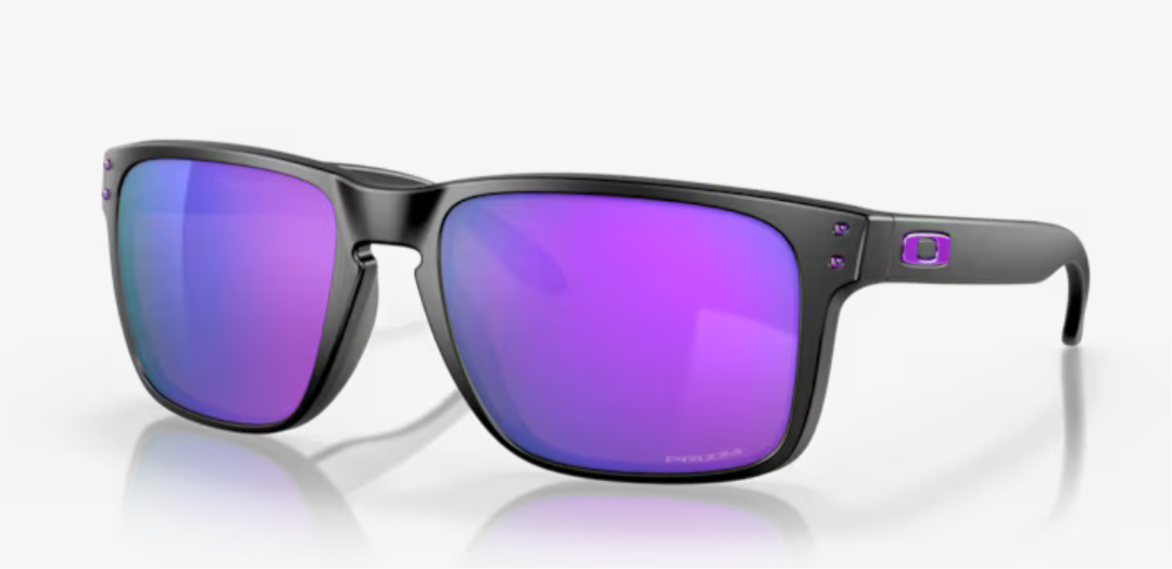 HOLBROOK XL - Matte Black/Prizm Violet