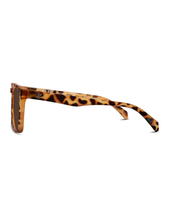 Ahoy - Gold Tort Polar