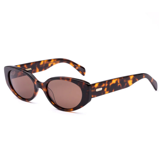 Aura  Honey Tort/Coffee