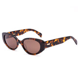 Aura  Honey Tort/Coffee