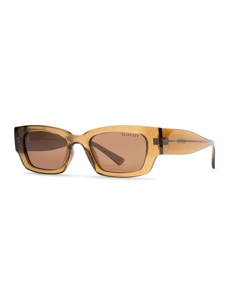 LOBSTER.  Cola/Polarised