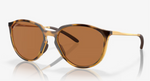 SIELO - Polished Brown Tortoise /Prizm Bronze Polar