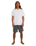 All Day Layback 17’ Boardshorts