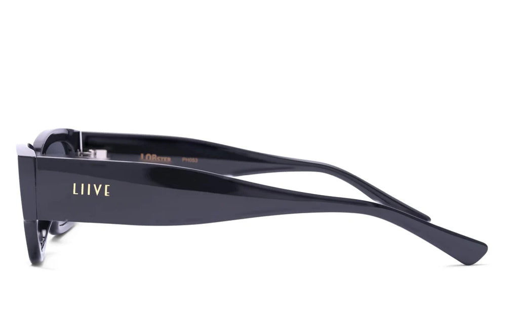 Lobster - Matt Black Polar