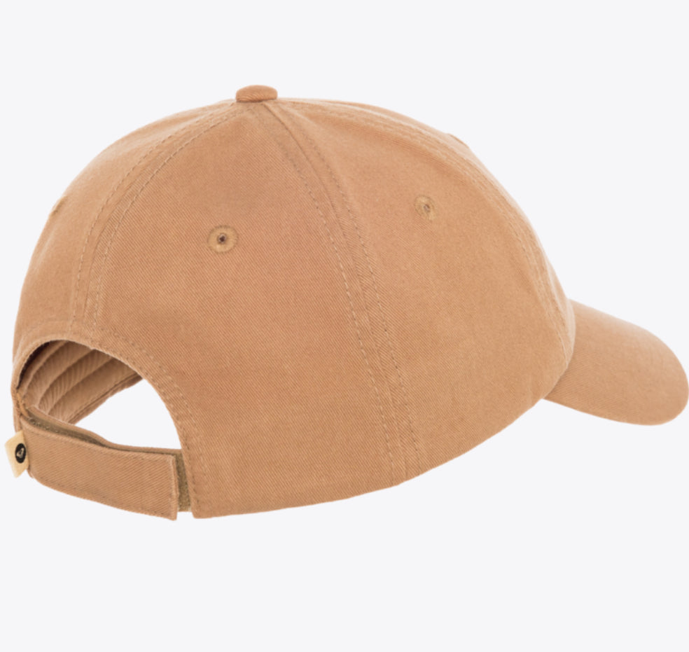 Toadstool - Cap