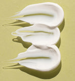 Kakadu Plum SPF 50+ - Sunscreen Lotion