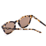 Now or Never - Chestnut Tort/Coffee