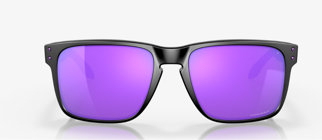 HOLBROOK XL - Matte Black/Prizm Violet