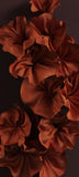 Nefertum Sakkara Spice